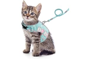 FEimaX Pettorina per Gatti con Guinzaglio, a Prova di Fuga, Regolabile, Imbottito in Morbida Rete Traspirante, Imbracatura Riflettente per Passeggio per Gatto Piccolo e Medio