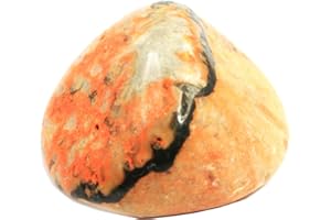 GeoFossils Bumble Bee Jasper Tumble Stone 20-25mm (1)