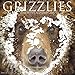Produktbild Grizzlies 2018 Wall Calendar