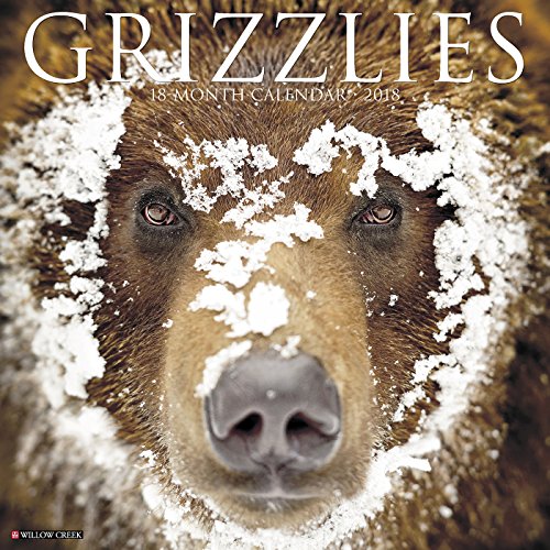Preisvergleich Produktbild Grizzlies 2018 Wall Calendar