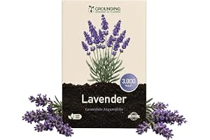 Grounding - Semillas de Lavanda (Lavandula angustifolia), 3000 semillas - Aroma intenso y flores violetas, ideal para jardín y macetas - Calidad Europea