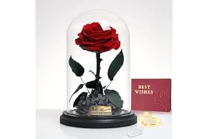 INYESKON Eternal Rose in Glass with LED, Real Infinity Rose in a Glass Dome with a Gift Box, Preserved Flowers for Women, Mum, Grandma, Girlfriend, Mother's Day, Valentine's Day, Christmas