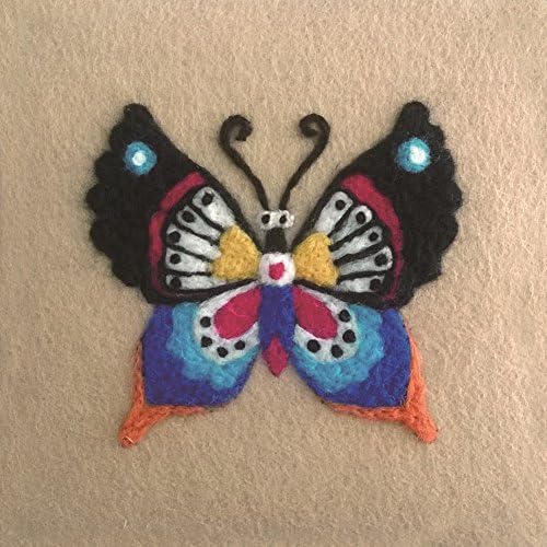 Handidi DIY Needle Felting Starter Kit,Wool Felt,Needle Craft Kit,DIY Gift, Colorful Butterfly FT-002, Size 6 in X 6in
