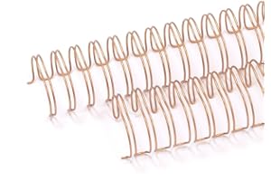 ‎CRAFTELIER Craftelier - 2er-Set Doppelringbinderollen für Alben, Notizbücher, Kalender oder Kalendarien | Ideal für Scrapbooking- und Bastelprojekte | Ø 2,54 cm (1") - Farbe Rose Gold