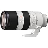 Sony FE 70-200 mm f/2.8gM OSS | Fotogramma, super teleobiettivo, obiettivo primo (SEL70200GM)