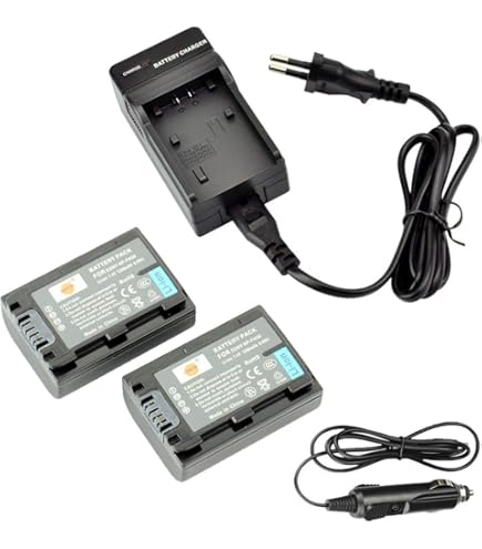 Sony Camcorder Battery Np Fv30 - ¿Dónde comprar al mejor precio en