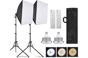 Andoer Set di luci fotografiche da studio, softbox bicolore LED 85W * 2 + 40x40 cm * 2 + 1,7 m * 2 + telecomando * 2 + custodia