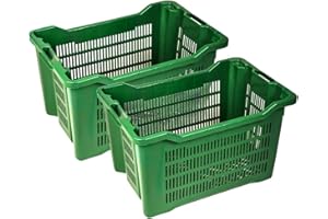ICS Plastica 20 Cassette agricole impilabili aperte per olive