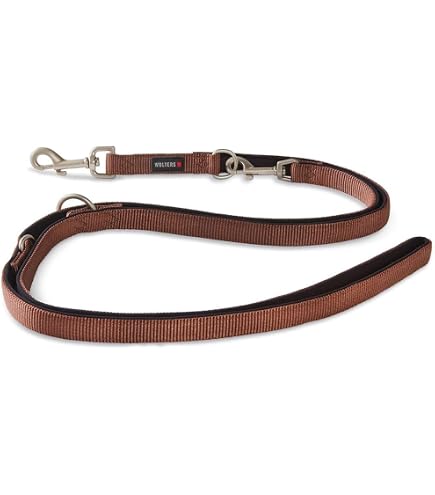Wolters Hundeführleine 300 Cm – Nylon, Doppellagig, Tabac, Größe L