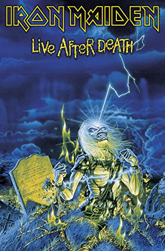Preisvergleich Produktbild Live After Death Textil Poster