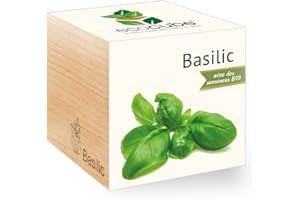 Feel Green Ecocube Basilic Certifiées Bio, Idée Cadeau (100% Ecologique), Grow-Your-Own/Kit Prêt-à-Pousser, Plantes Dans Des Cubes En Bois 7.5cm, Produit En Autriche