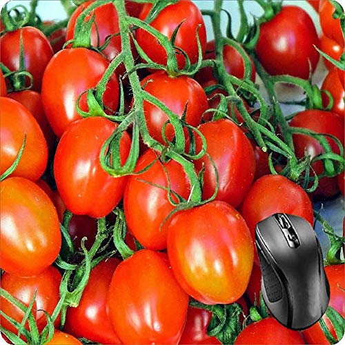 Preisvergleich Produktbild BGLKCS