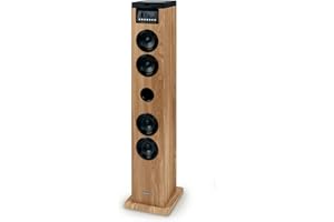 THOMSON BOISDS122CD Multimedia-Tower mit CD-Player