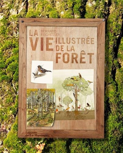 couverture de : La vie illustr&eacute;e de la for&ecirc;t