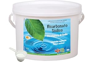 DIASA INDUSTRIAL BICARBONATO DE SODIO 2 KG - Limpiador Ecológico Hogar. Incluye cucharilla dosificadora