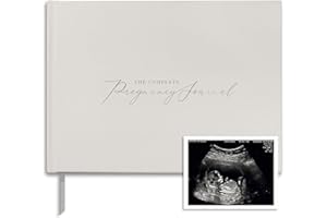 BIBI & BEAU Journal de grossesse et planificateur cadeau – Livre de grossesse de luxe pour futures mamans – Comprend calendrier, scrapbooking, liste de contrôle, organisateur et livre de souvenirs (argent)
