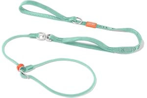Howgo Dog Slip Lead Dog Leash, Training Leash, No-Pull Lightweight Slip Lead and Collar, Heavy Duty & Durable, Padded Handle, for All Breeds (MintGreen, 5.5FT)