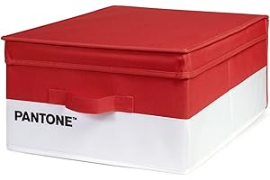 OSAMA HOME PANTONE Organizer Armadio Salvaspazio, Scatola Porta Oggetti e Abiti con Tasca Profumatore Armadio, Contenitore Giochi Bambini e Vestiti Pieghevole, Scatole per Armadio Portaoggetti 40x50x25 cm