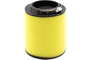 LOCOPOW Air Filter TRX420 TRX 420 17254-HP5-600 Replacement for Honda Rancher 420 TRX420FA TRX420FE TRX420FM TRX420FPA TRX420FPE TRX420FPM TRX420TE TRX420TM