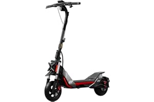SEGWAY-NINEBOT Segway ZT3 Pro E, Trottinette électrique, Vitesse maximale de 25 km/h, Autonomie de 70 km, Double système de freinage