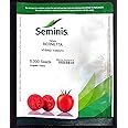 BARNETTA Hybrid Tomato 5000 Seeds Seminis
