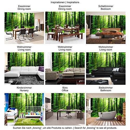 Fototapete Wald – ALLE WALDMOTIVE auf einen Blick ! Vlies PREMIUM PLUS – 200×140 cm – SUNLIGHT FOREST – Wald Bäume Sonnenstrahlen grün Ruhe – no. 061 - 5