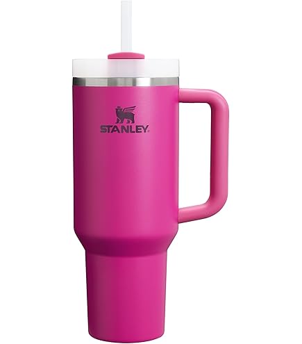 590 Ml Wasserbecher Mit Strohhalm – Vakuumisoliert, Edelstahl, Mit Deckel & Griff, Ideal Für Unterwegs, Camping & Office