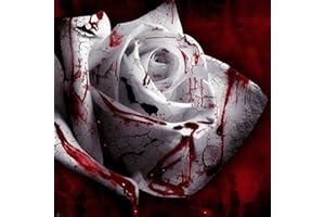 Haloppe 120 Pcs Rose Fleurs Plantes Graines pour La Maison Jardin Plantation, Bloody Rose Fleur Graine Bonsaï Plante Jardin Maison Aménagement Paysager Décoration Graines de Rose sanglante