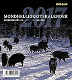 Mondhelligkeitskalender 2017: WILD und HUND by 