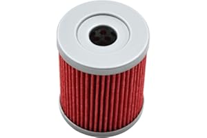 OuYi filtro de aceite de motocicleta Compatible con AN250 Burgman 250 1999-2007 /SUZUKI AN400 BURGMAN TYPE S 400 2003-2006 /AN400 BURGMAN 400 1999-2006 /RV125 Van Van 125 2003-2012