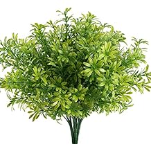 Suchergebnis auf Amazon.de für: hängepflanzen zimmer