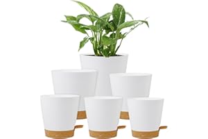 Homeuouz 6 Pack Self Watering Plant Pots Indoor-20/17.5/16.5/15/14/12.5CM Plastic Flower Pots with Drainage Holes, Saucer & Reservoir, for House Plants, Herbs & Succulents(White)