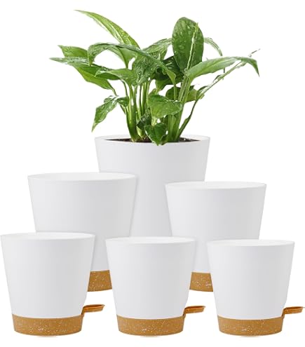 Lusibaka Blumentopf-Set – 4 Töpfe Mit Untersetzern (19/17/15/13 Cm), Grün