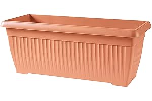 PROSPERPLAST Maceta TERRA 44L., dimensiones (mm) 800x344x320, color Terracota