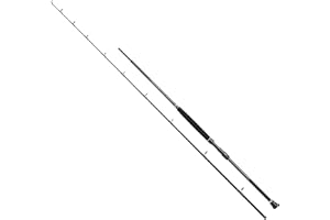 PENN Regiment III Bootsrute Braid – Wrack-, Charter- oder Riffangeln – Dorsch, Seeaal, Barsch, Seelachs, Makrele