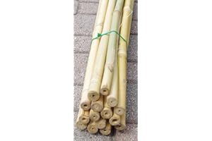 FERRITALIA CANNE IN BAMBOO PER SOSTEGNO ORTAGGI E ALTRI USI DA CM 150 (15)