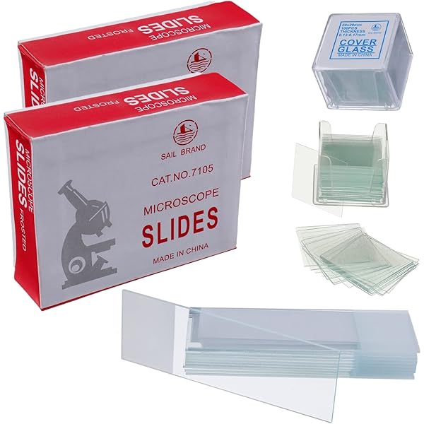 BNISE 100 Pcs Lames De Microscope Préparées, Échantillons De Biologie