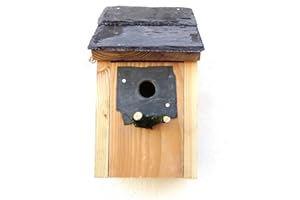 WILD SHACK Bird House Nesting Box Blue Tits 25mm hole