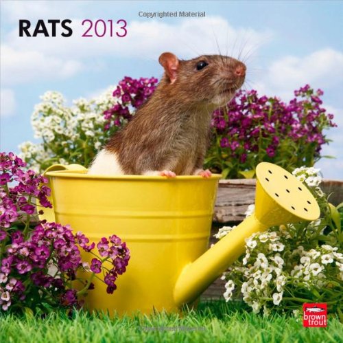 Download Rats 2013 - Ratten - Original BrownTrout-Kalender