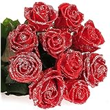 Frische Wachsrosen glitter/schnee in vielen Farben