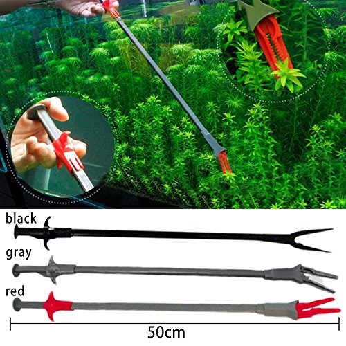 Preisvergleich Produktbild Hanbaili with Klammerklammer 50cm