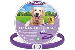 YOTANGO Colliers Anti-Puces pour Chiens, Collier Anti Puces Chien Imperméable, Réglable Collier Anti Puces pour Chien - 8 Mois de Protection Naturelle Contre Les Puces pour Chiots et Grands Chiens-Violet