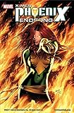 Image de X-Men: Phoenix Endsong