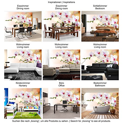 Vlies Fototapete 200×140 cm – Top ! PREMIUM PLUS Foto Tapete ! Wandbilder XXL Wandbild Bild Fototapeten Tapeten Wandtapete Wanddeko Wand Blumen Orchidee Natur – no. 200 - 5