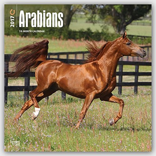 Download Arabians 2017 Square Wall Calendar