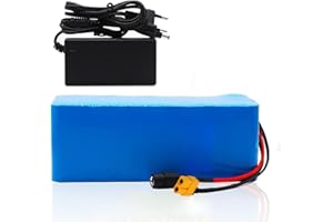 OMURGA 36v Lithium ION pour vélo électrique,8AH 10AH 12AH 15AH 18AH 20AH 25AH Batterie au Lithium,Batterie Haute Puissance 800W, E-Bike Vélo électrique BMS + 42V Chargeur
