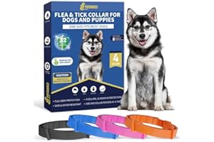YOTANGO Collare Antiparassitario per Cani, 4 Pezzi Collare Antipulci Cane, Naturale Collare Cane Antiparassitario, 32 Mesi di Protezione Antizecche per Tutti i Tipi di Cani, Rosa, Arancione, Nero, Blu