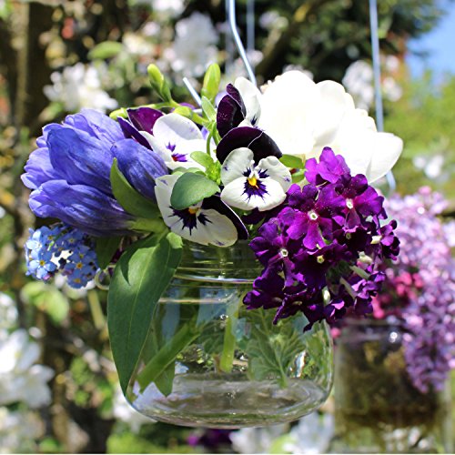 Windlicht klein, 6 Stück mit Henkel, Laterne Glaslaterne Garten-Deko Ø ca. 7,5 cm, H ca. 6,5 cm - 2