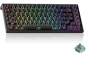 Akko Clavier Gaming Filaire à déclenchement Rapide TAC75, commutateur magnétique à Effet Hall, Disposition américaine 75%, fréquence de sondage de 8 kHz,PBT (Noir Transparent, commutateur AstroAim)
