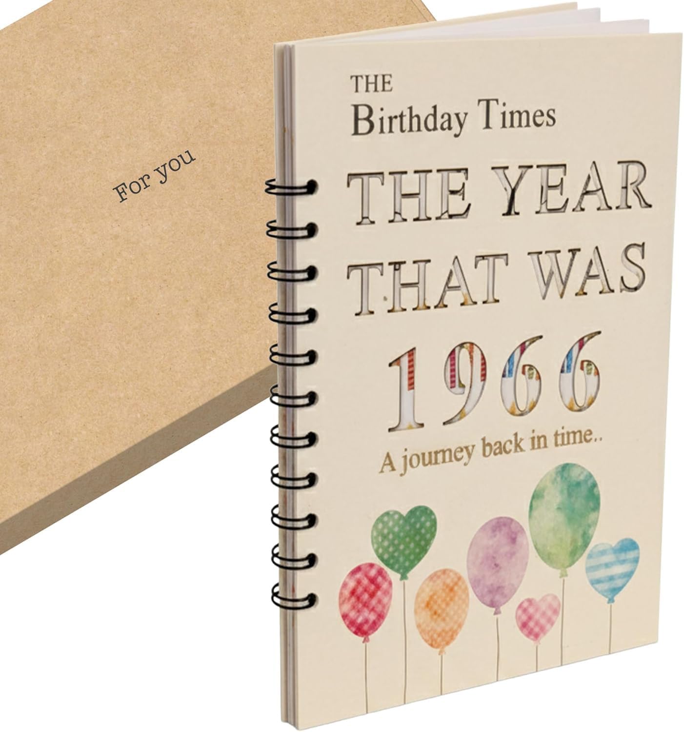 À Qui S'adresse le The Year that Was 1966 - Special 60th Birthda ? Profils Recommandés